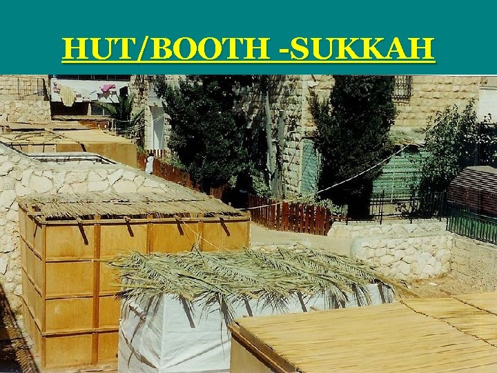 HUT/BOOTH -SUKKAH 