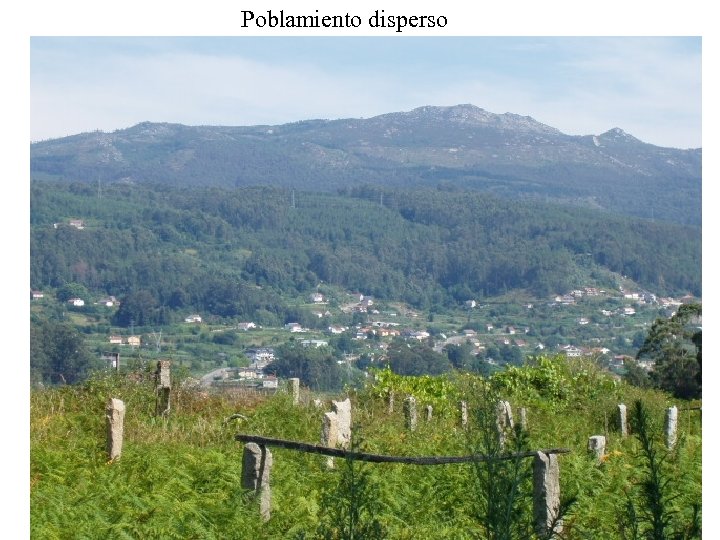 Poblamiento disperso 