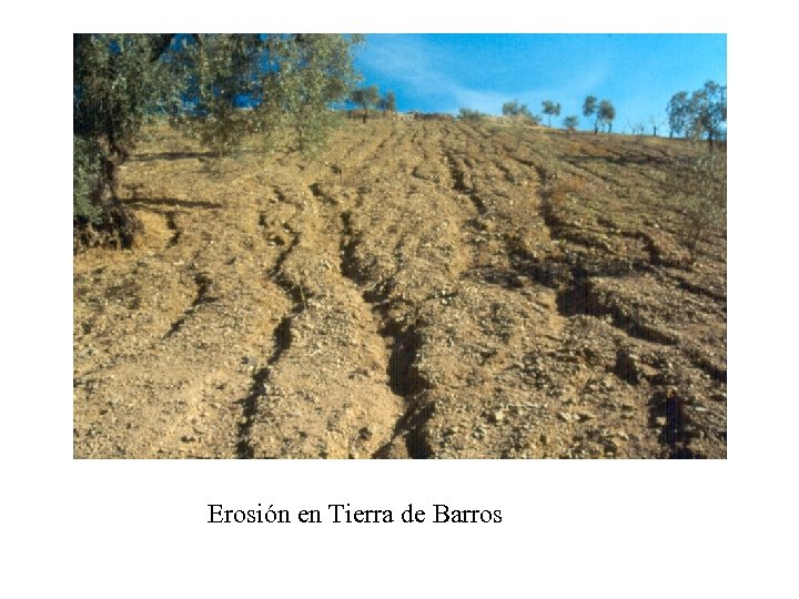 Erosión en Tierra de Barros 