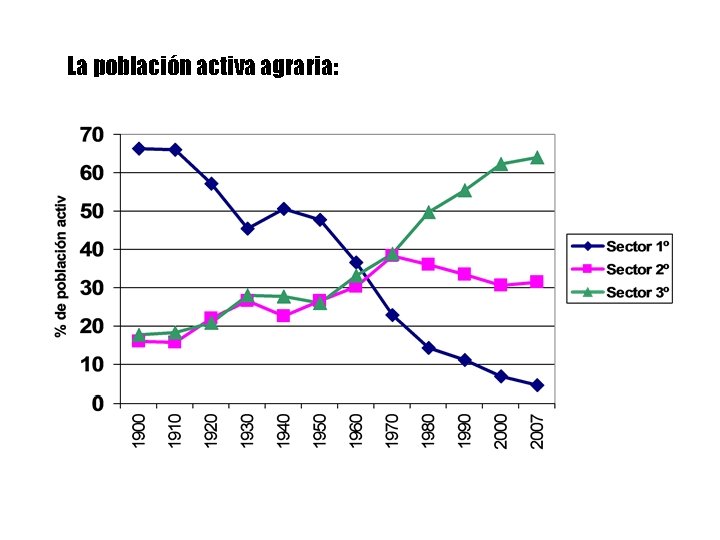 La población activa agraria: 