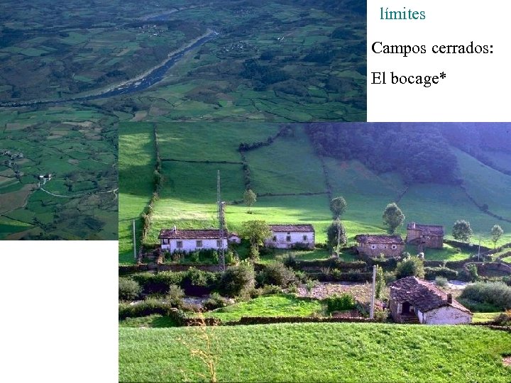 límites Campos cerrados: El bocage* 