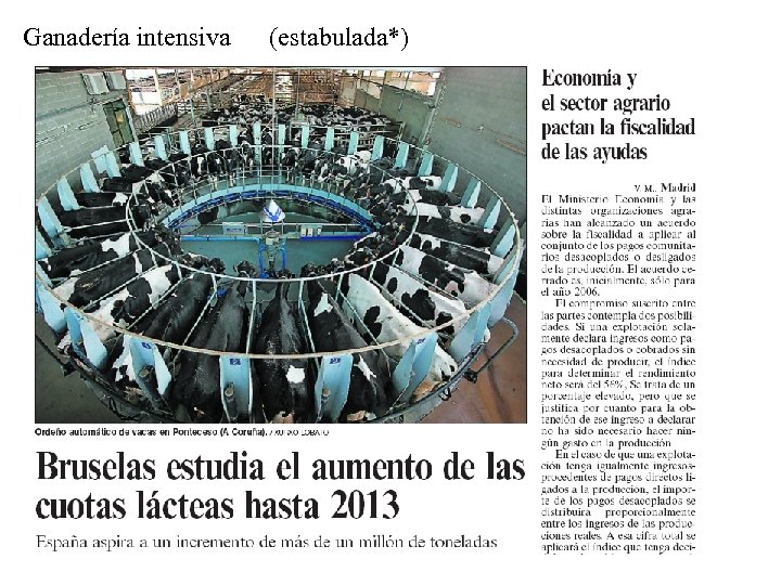 Ganadería intensiva (estabulada*) 