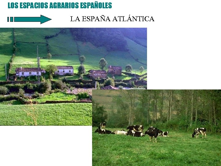 LOS ESPACIOS AGRARIOS ESPAÑOLES LA ESPAÑA ATLÁNTICA 