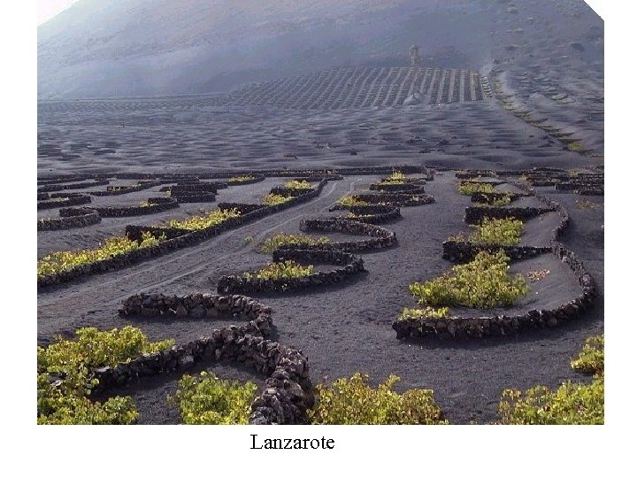 Lanzarote 
