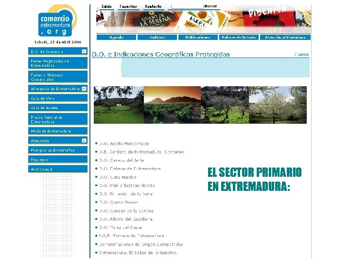 EL SECTOR PRIMARIO EN EXTREMADURA: 