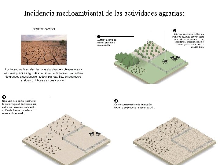 Incidencia medioambiental de las actividades agrarias: 