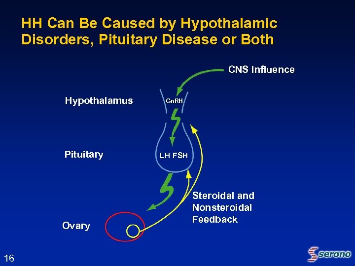 HH Can Be Caused by Hypothalamic Disorders, Pituitary Disease or Both CNS Influence Hypothalamus