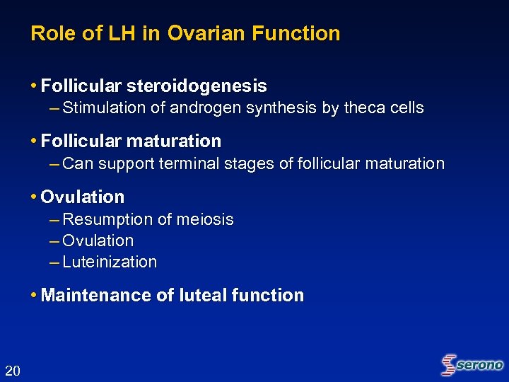 Role of LH in Ovarian Function • Follicular steroidogenesis – Stimulation of androgen synthesis