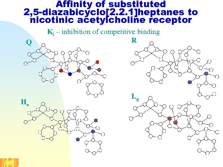 Affinity of substituted 2, 5 -diazabicyclo[2. 2. 1]heptanes to nicotinic acetylcholine receptor Q H