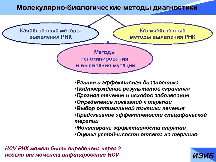 Молекулярно-биологические методы диагностики Качественные методы выявления РНК Количественные методы выявления РНК Методы генотипирования и