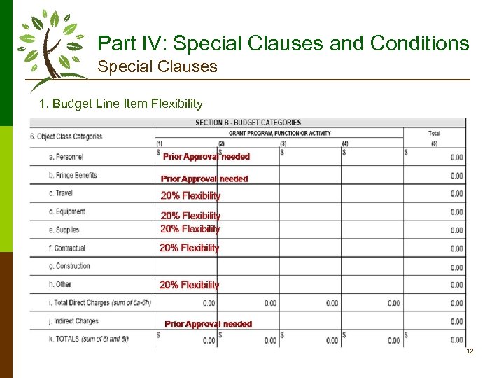 Part IV: Special Clauses and Conditions Special Clauses 1. Budget Line Item Flexibility 12