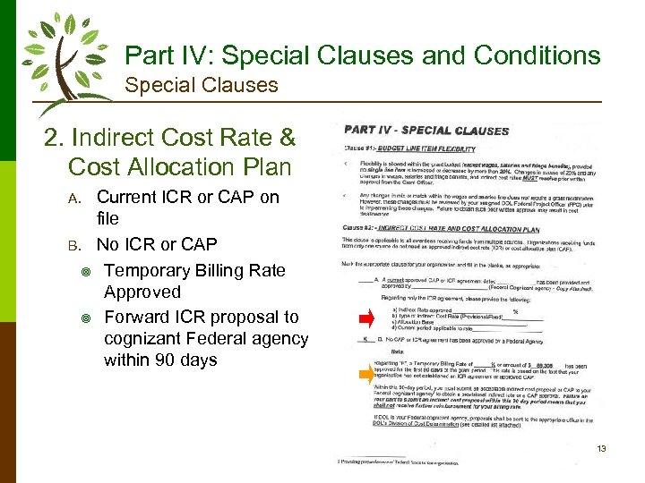 Part IV: Special Clauses and Conditions Special Clauses 2. Indirect Cost Rate & Cost