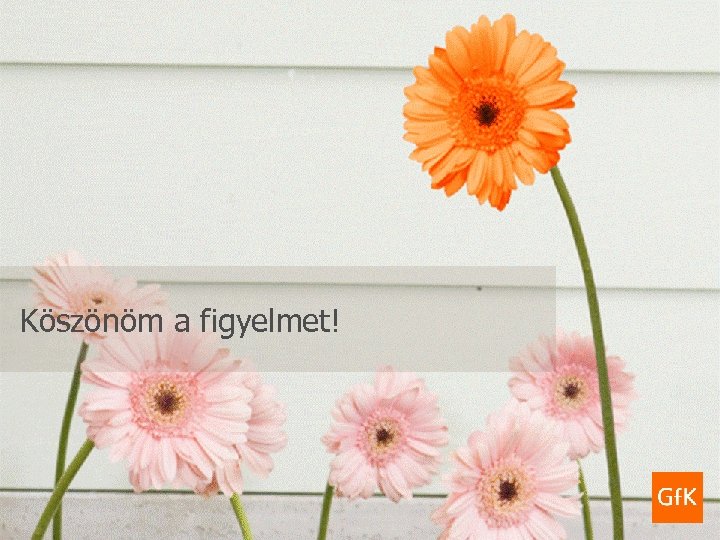 Gf. K Health. Care A hatékonyság új útjai – Dr. Lantos Zoltán 2012. február