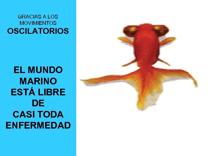 GRACIAS A LOS MOVIMIENTOS OSCILATORIOS GRACIAS A LOS MOVIMIENT EL MUNDO MARINO ESTÁ LIBRE