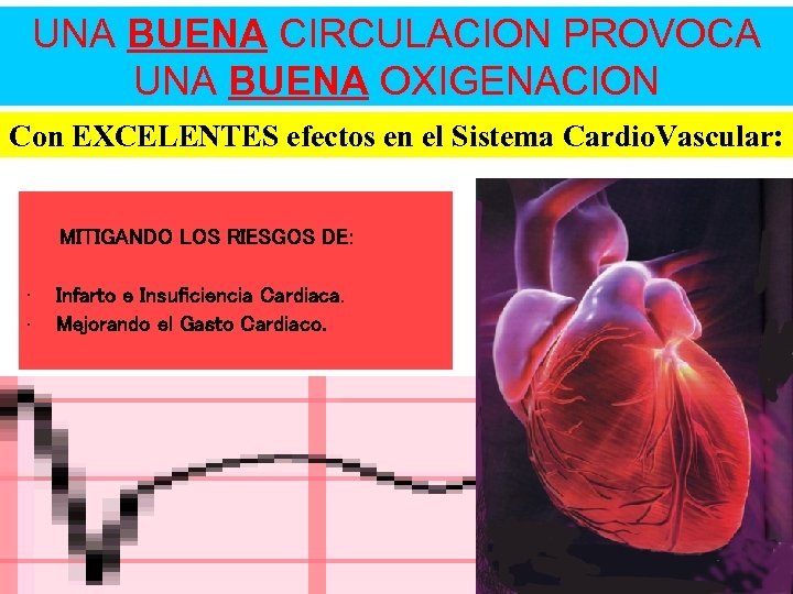 UNA BUENA CIRCULACION PROVOCA UNA BUENA OXIGENACION Con EXCELENTES efectos en el Sistema Cardio.
