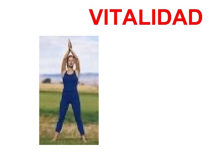 VITALIDAD 