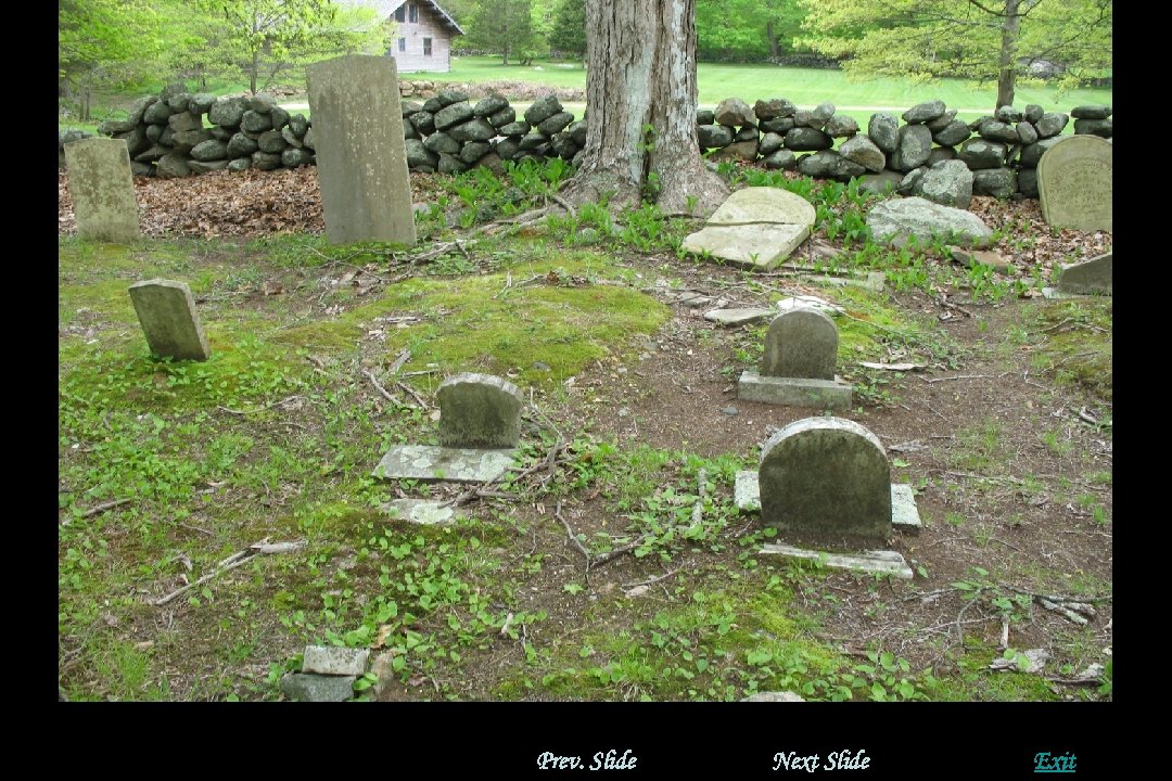 Prev. Slide Next Slide Exit 