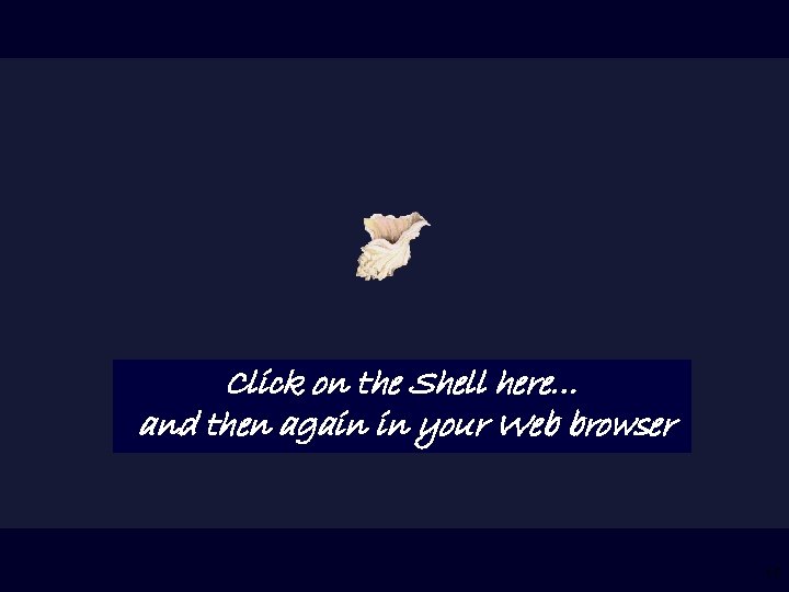 Click on the Shell here… and then again in your Web browser 17 