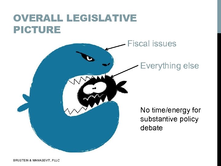 OVERALL LEGISLATIVE PICTURE Fiscal issues Everything else No time/energy for substantive policy debate BRUSTEIN