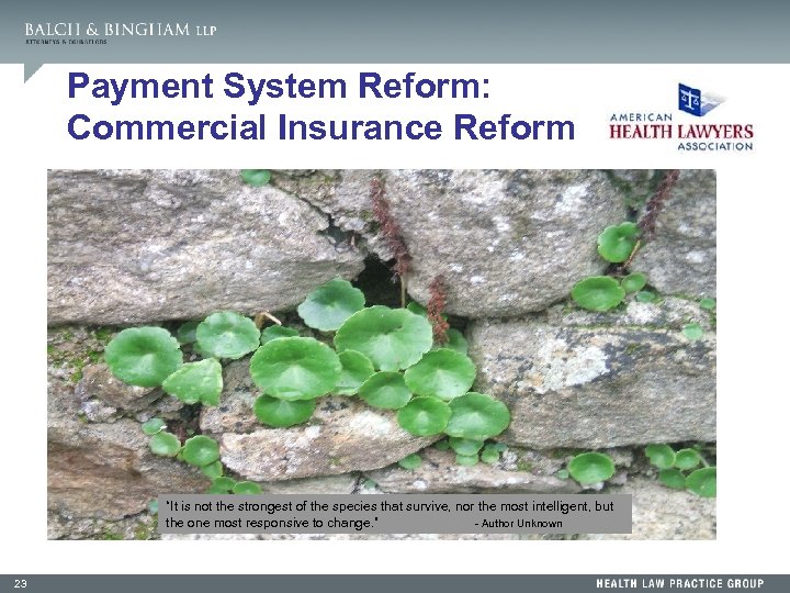 Payment System Reform: Commercial Insurance Reform “It is not the strongest of the species