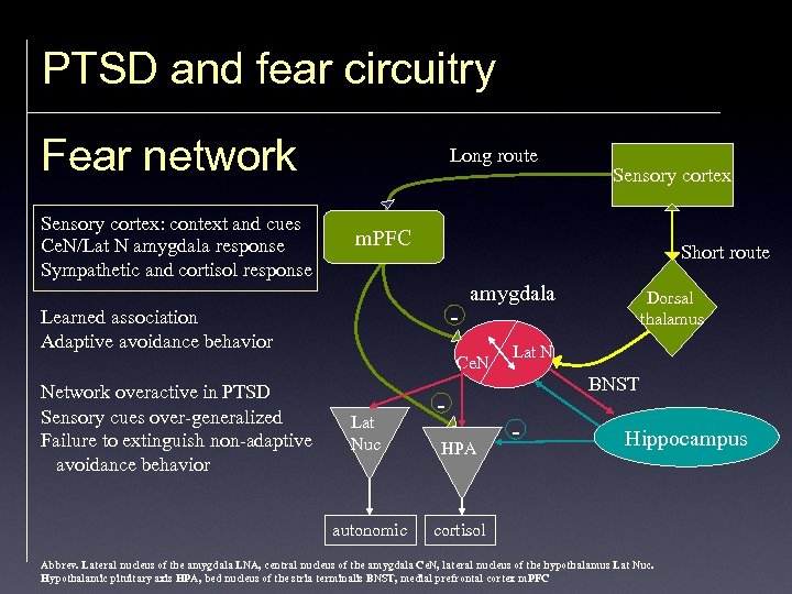 PTSD and fear circuitry Fear network Sensory cortex: context and cues Ce. N/Lat N