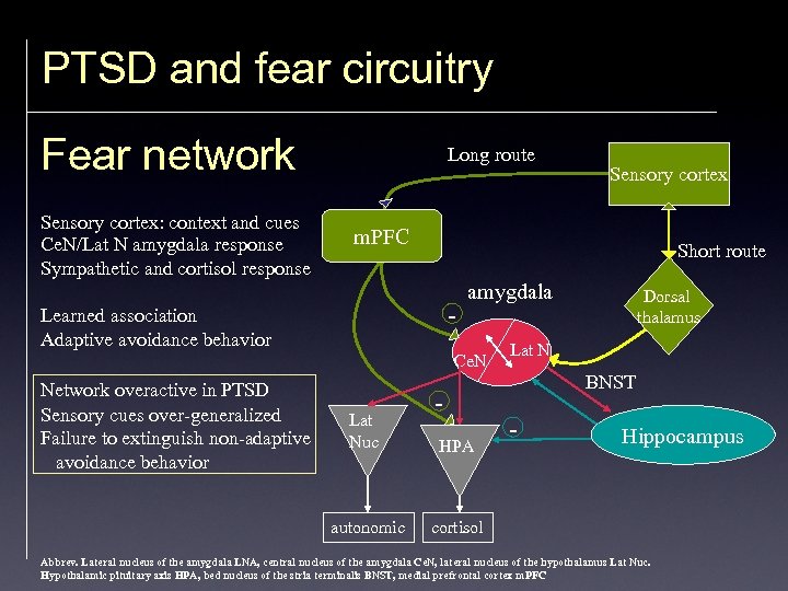 PTSD and fear circuitry Fear network Sensory cortex: context and cues Ce. N/Lat N