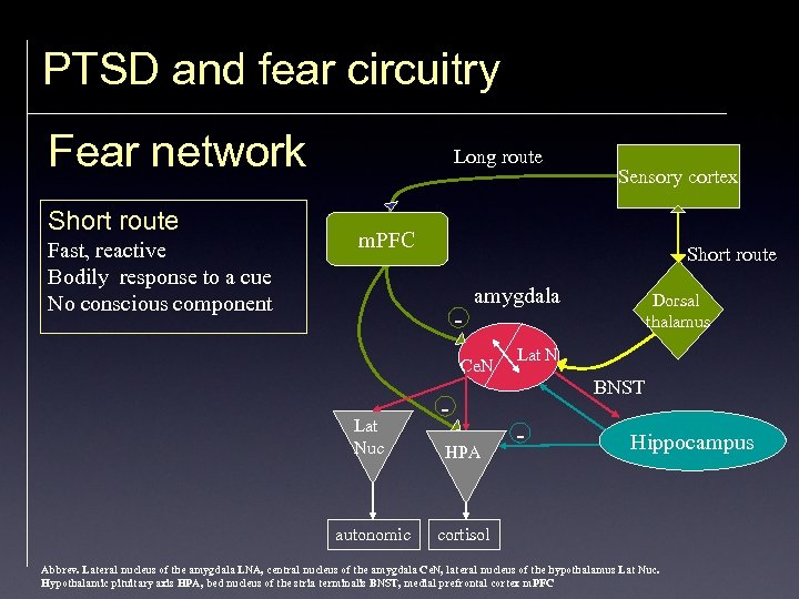 PTSD and fear circuitry Fear network Short route Fast, reactive Bodily response to a