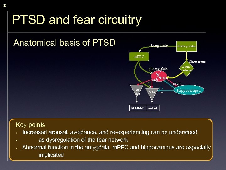 * PTSD and fear circuitry Anatomical basis of PTSD Long route Sensory cortex m.