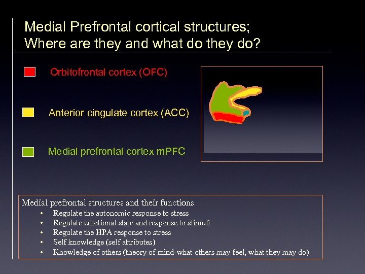 Medial Prefrontal cortical structures; Where are they and what do they do? Orbitofrontal cortex