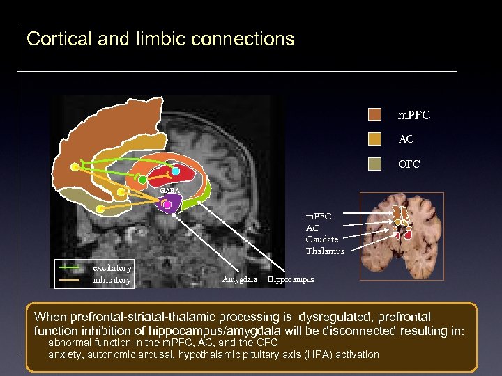 Cortical and limbic connections m. PFC AC OFC GABA m. PFC AC Caudate Thalamus