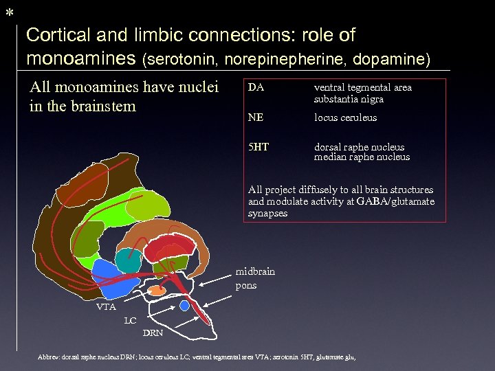 * Cortical and limbic connections: role of monoamines (serotonin, norepinepherine, dopamine) All monoamines have