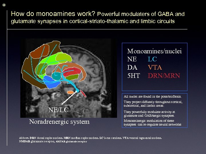 * How do monoamines work? Powerful modulaters of GABA and glutamate synapses in cortical-striato-thalamic