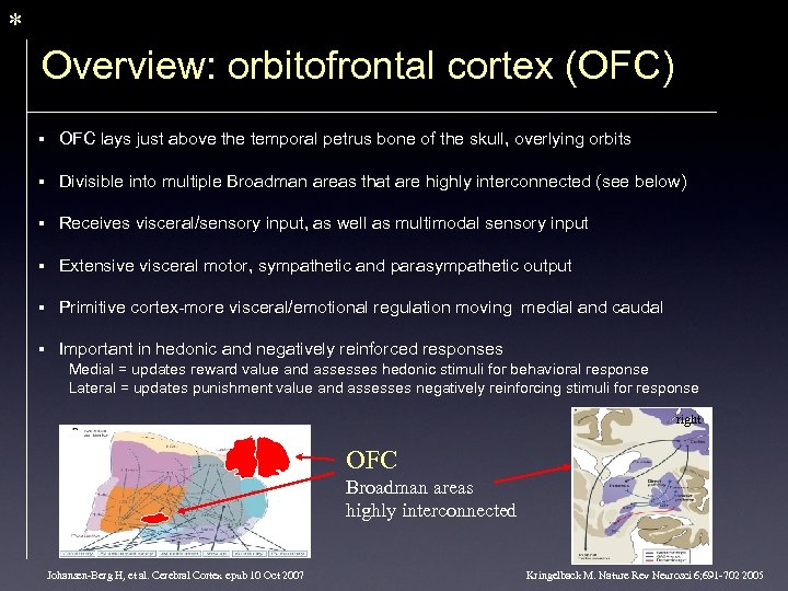 * Overview: orbitofrontal cortex (OFC) § OFC lays just above the temporal petrus bone