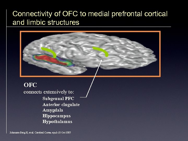 Connectivity of OFC to medial prefrontal cortical and limbic structures OFC connects extensively to: