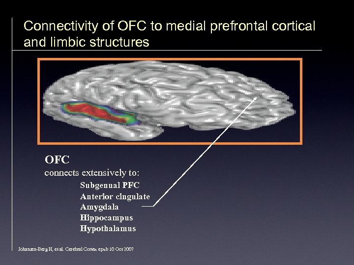 Connectivity of OFC to medial prefrontal cortical and limbic structures OFC connects extensively to: