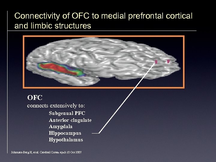 Connectivity of OFC to medial prefrontal cortical and limbic structures OFC connects extensively to: