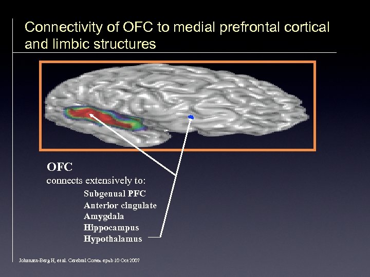 Connectivity of OFC to medial prefrontal cortical and limbic structures OFC connects extensively to: