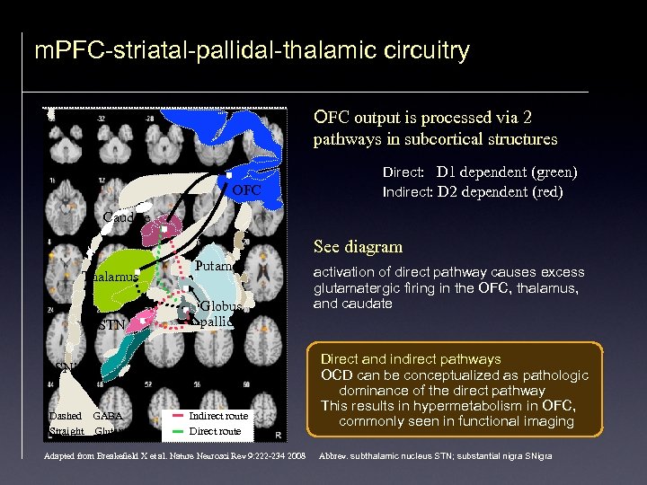 m. PFC-striatal-pallidal-thalamic circuitry OFC output is processed via 2 pathways in subcortical structures OFC