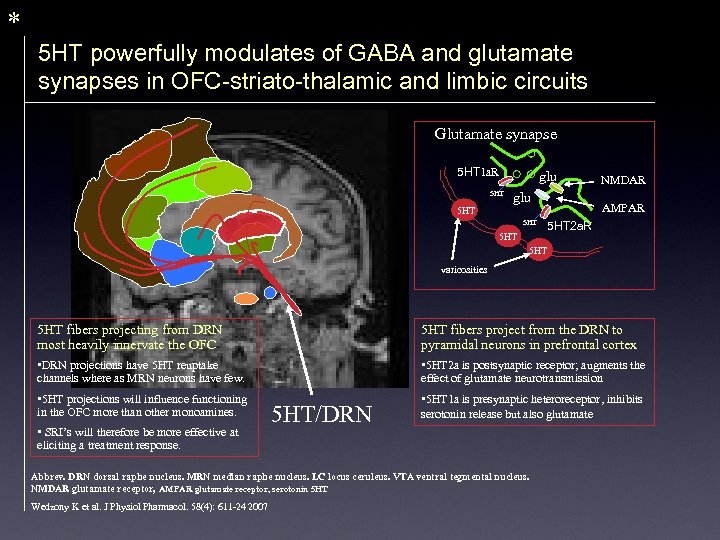 * 5 HT powerfully modulates of GABA and glutamate synapses in OFC-striato-thalamic and limbic