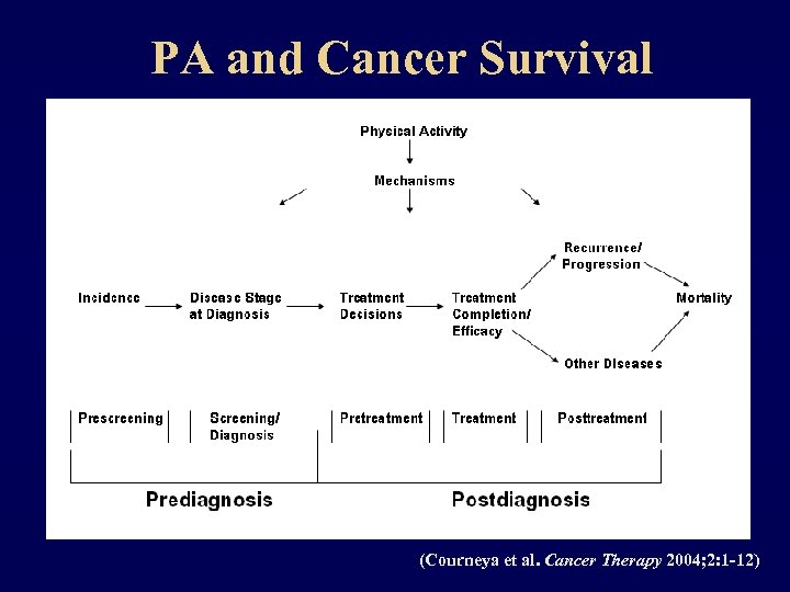 PA and Cancer Survival (Courneya et al. Cancer Therapy 2004; 2: 1 -12) 