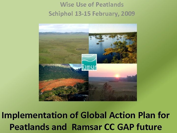 Wise Use of Peatlands Schiphol 13 -15 February, 2009 Implementation of Global Action Plan