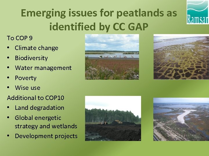 Emerging issues for peatlands as identified by CC GAP To COP 9 • Climate