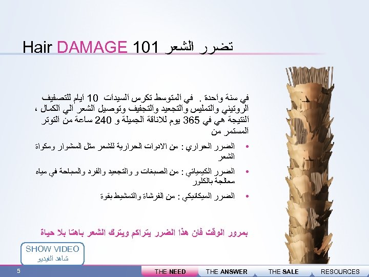  ﺗﻀﺮﺭ ﺍﻟﺸﻌﺮ 101 Hair DAMAGE ﻓﻲ ﺳﻨﺔ ﻭﺍﺣﺪﺓ. ﻓﻲ ﺍﻟﻤﺘﻮﺳﻂ ﺗﻜﺮﺱ ﺍﻟﺴﻴﺪﺍﺕ 01