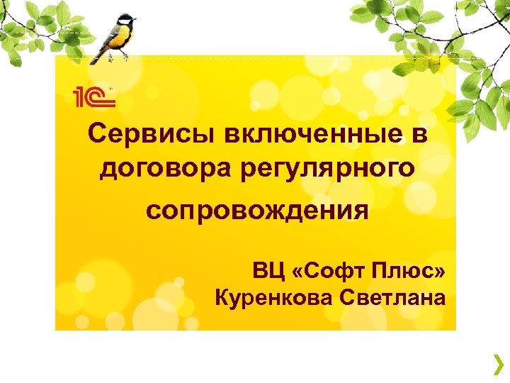 Сервисы включенные в договора регулярного сопровождения ВЦ «Софт Плюс» Куренкова Светлана 