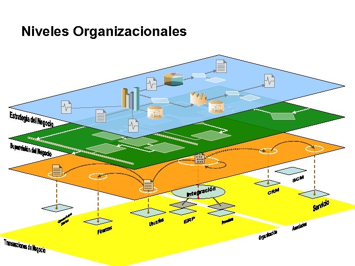 Niveles Organizacionales 