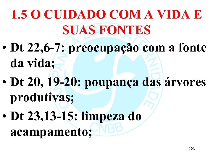 1. 5 O CUIDADO COM A VIDA E SUAS FONTES • Dt 22, 6