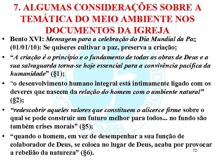 7. ALGUMAS CONSIDERAÇÕES SOBRE A TEMÁTICA DO MEIO AMBIENTE NOS DOCUMENTOS DA IGREJA •