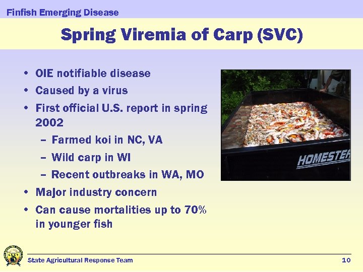 Finfish Emerging Disease Spring Viremia of Carp (SVC) • OIE notifiable disease • Caused