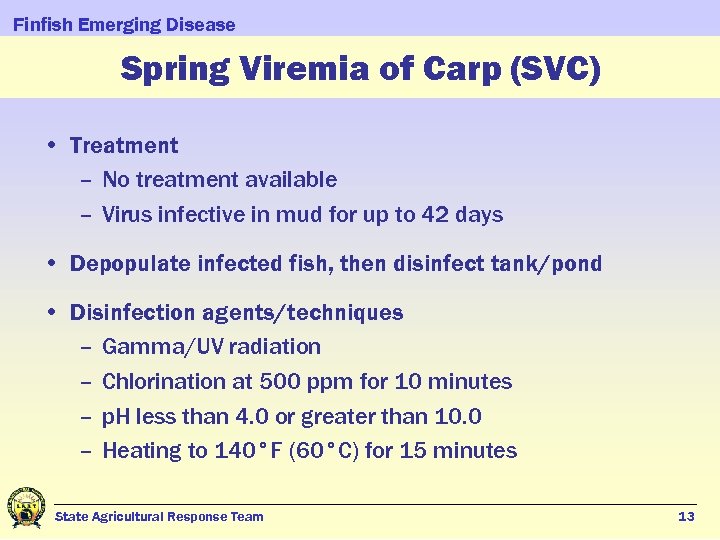 Finfish Emerging Disease Spring Viremia of Carp (SVC) • Treatment – No treatment available