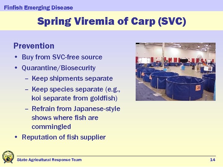 Finfish Emerging Disease Spring Viremia of Carp (SVC) Prevention • Buy from SVC-free source
